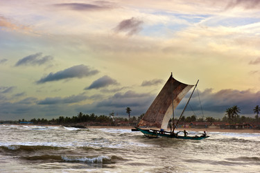 Similar image 11796458