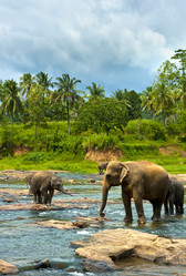 Similar image 11796521