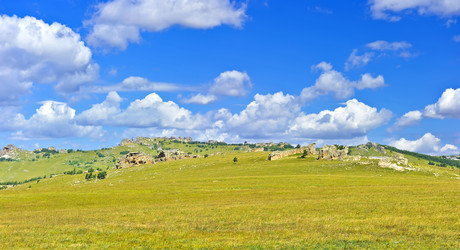 Similar image 11796616