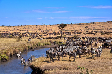 Similar image 11796660