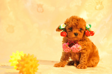 Similar image 11796728