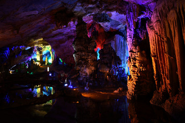 Similar image 11797266