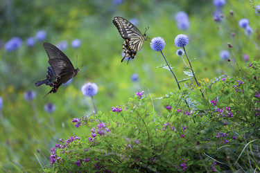 Similar image 11797219