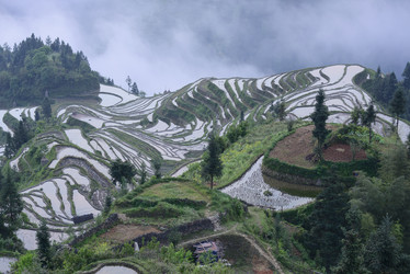 Similar image 11797335