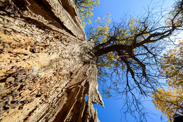 Similar image 11797448