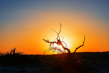 Similar image 11797484