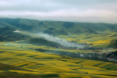 Similar image 11797583