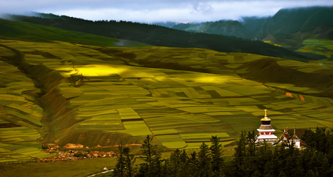 Similar image 11797617