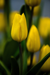 Similar image 11798045