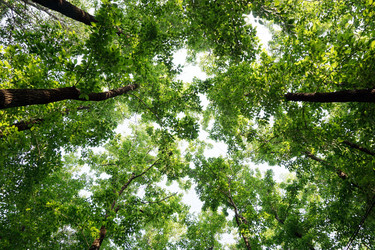 Similar image 11798160