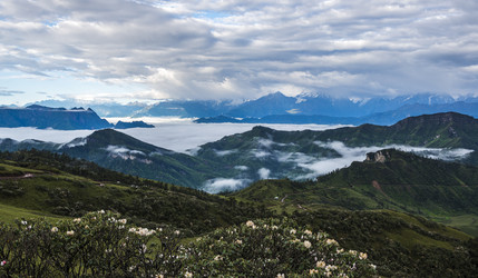 Similar image 11798212