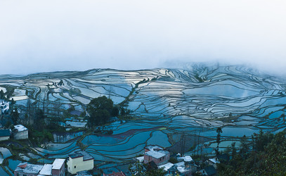 Similar image 11798241