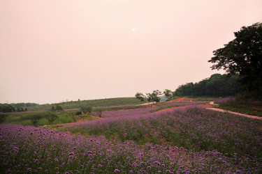 Similar image 11798301