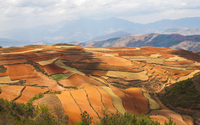 Similar image 11798330