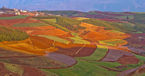 Similar image 11798361