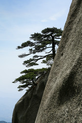 Similar image 11798441