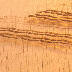 Similar image 11798648