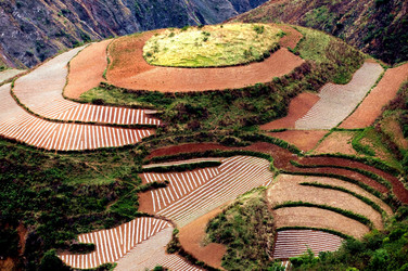 Similar image 11798895