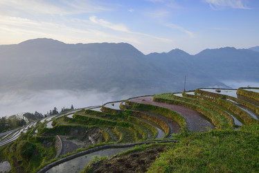 Similar image 11798995