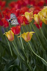 Similar image 11799205