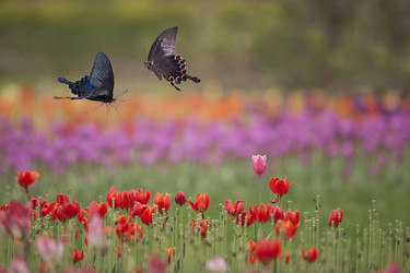 Similar image 11799237