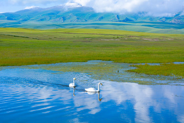 Similar image 11799285