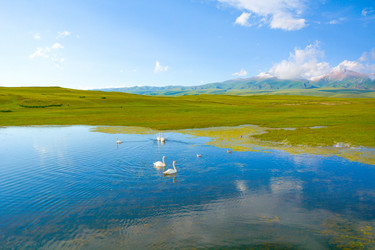 Similar image 11799321