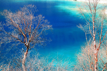 Similar image 11785839