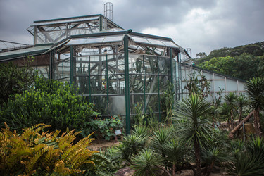 Similar image 11785939