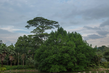 Similar image 11785974