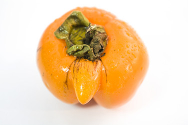 Similar image 11786395