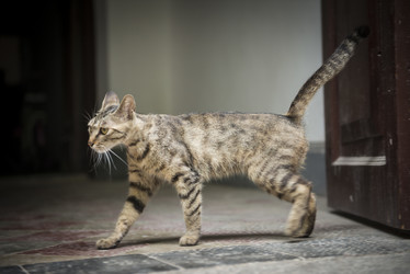 Similar image 11786651