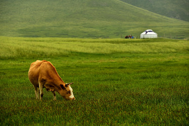 Similar image 11786752