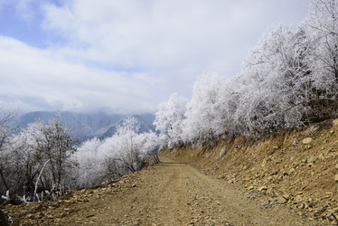 Similar image 11787507