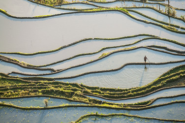 Similar image 11787665