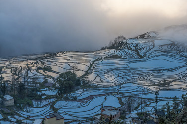 Similar image 11788208