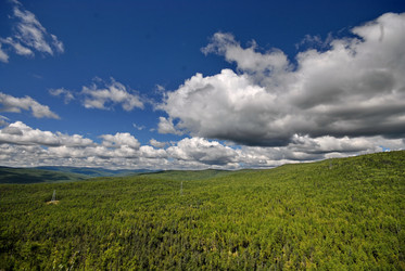 Similar image 11788058