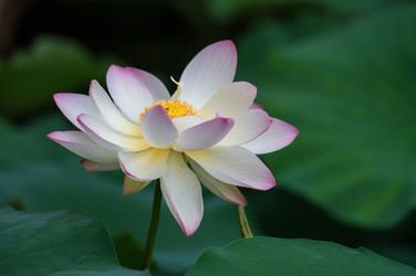 Similar image 11788353