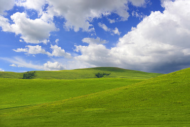 Similar image 11788436