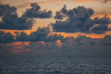 Similar image 11788606