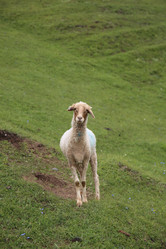 Similar image 11788942