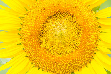 Similar image 11789039