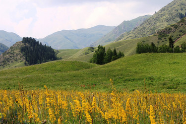 Similar image 11789146