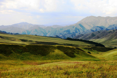 Similar image 11789104