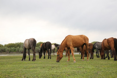 Similar image 11789159