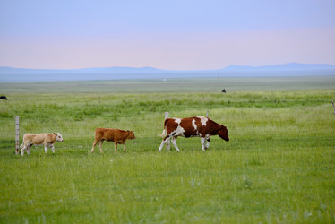 Similar image 11789662