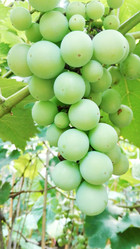 Similar image 11794551