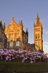 Similar image 11794528