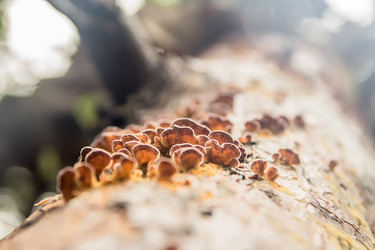 Similar image 11794677