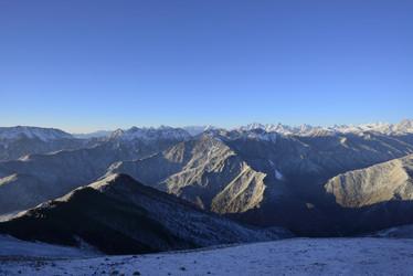 Similar image 11794759